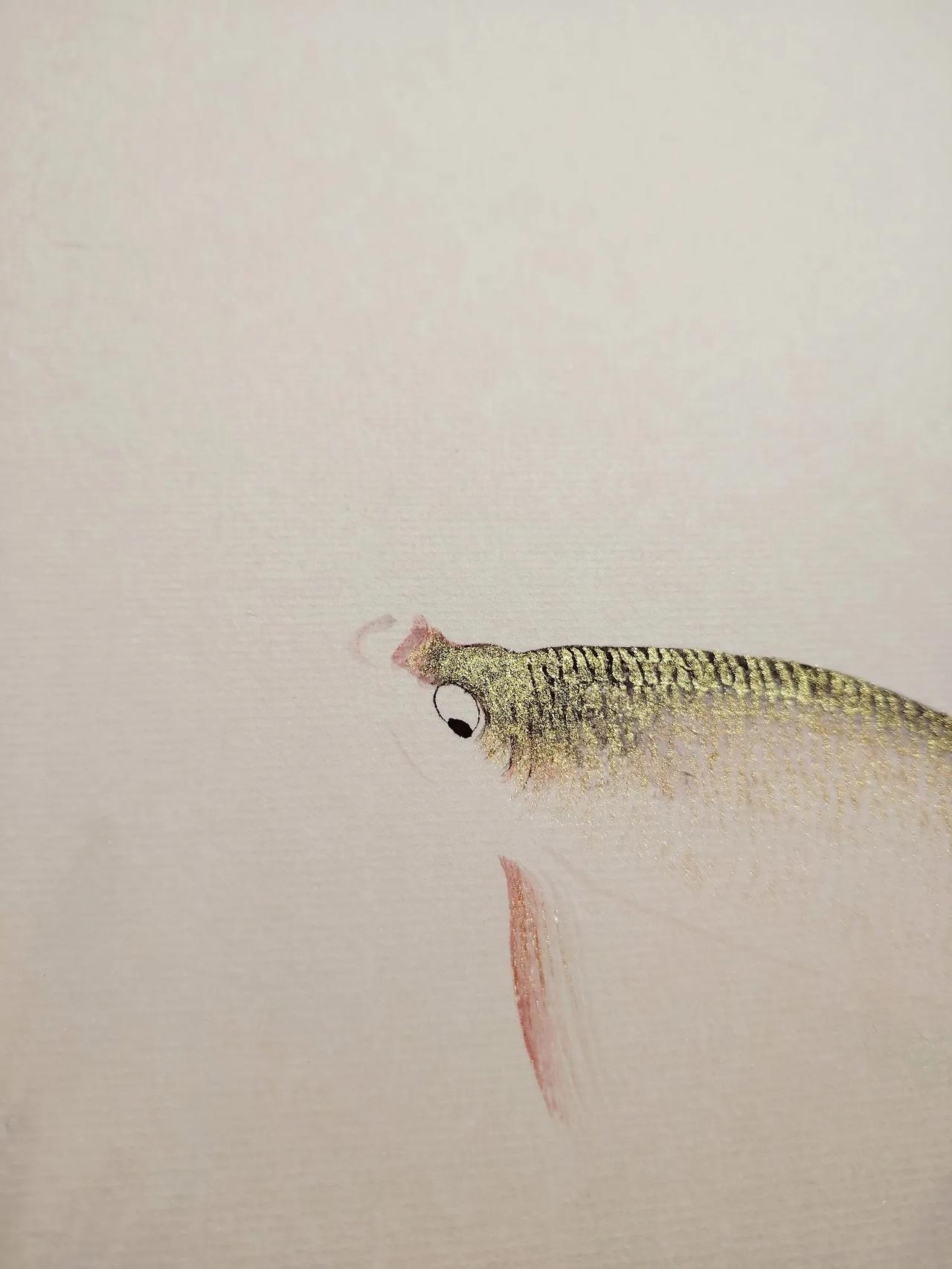 金鳞岂是池中物个人画作分享一下 @今日头条 @非子画鱼 @国画雅集