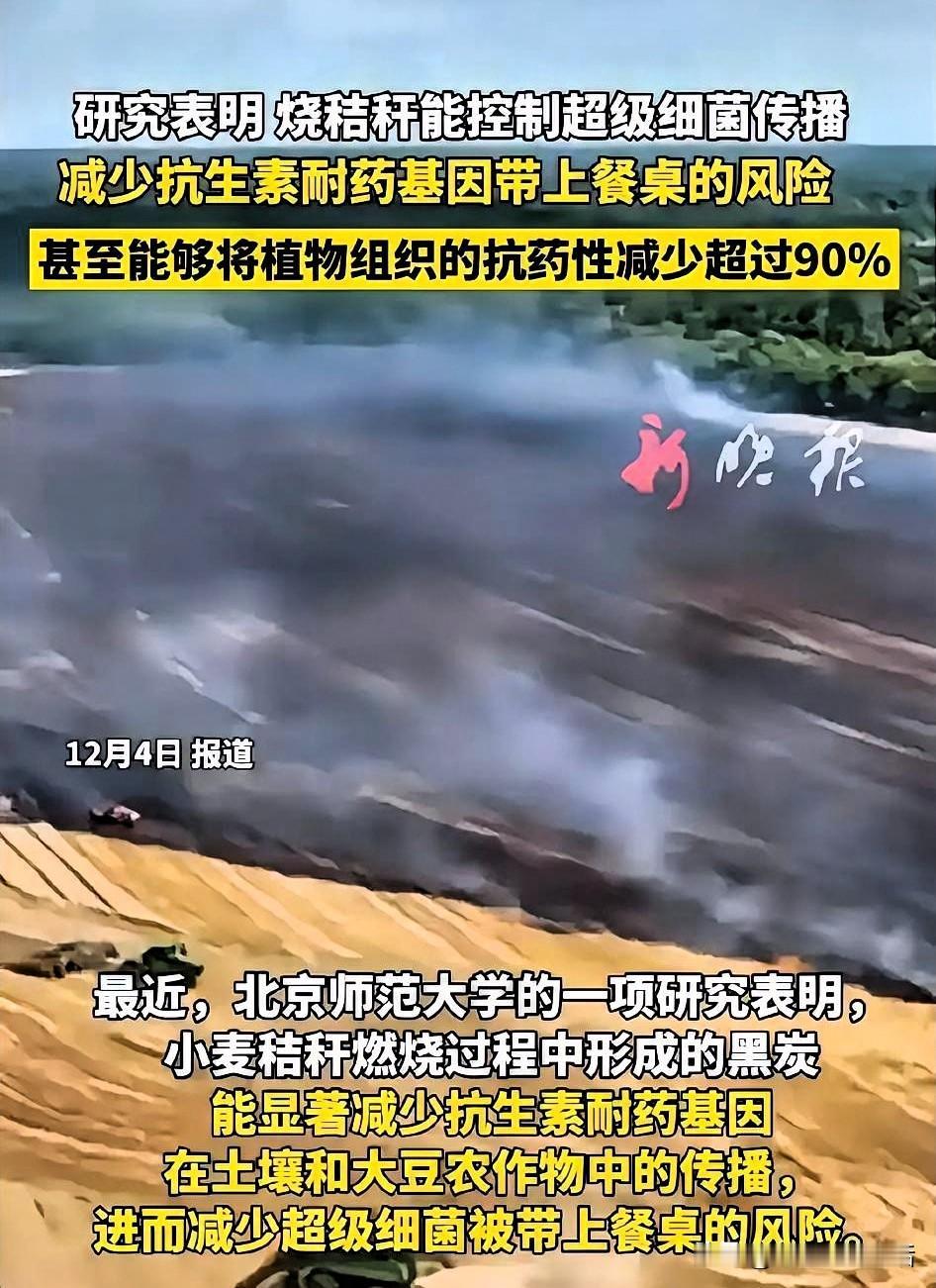 不让烧秸秆的那个“专家”被抓起来后，
现在北师大的教授终于又站在了农民这边。
都