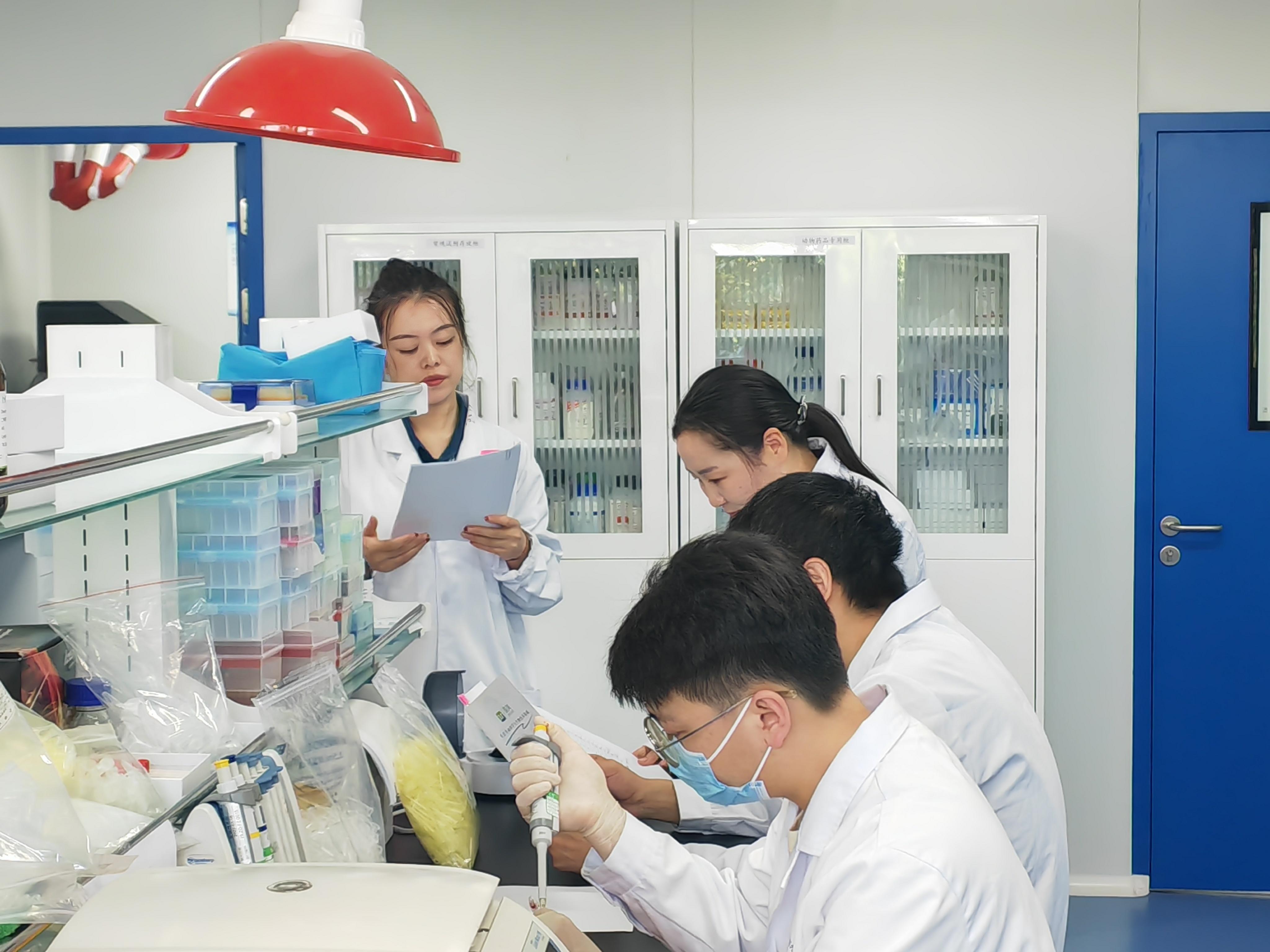 中国医疗创新引擎已全速启动。从临床试验到药物商业化，庞大患者群体、低成本高效率的
