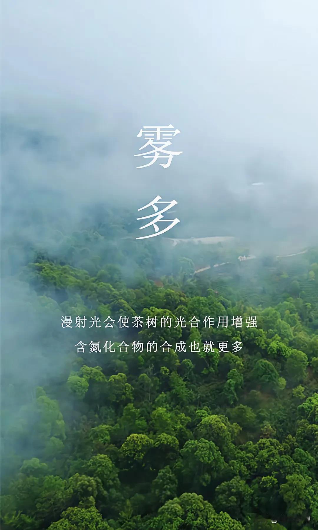 花比花来花不红，人比人来人不同。今生不与他人比，生来人穷志不穷。人生不短也不长，