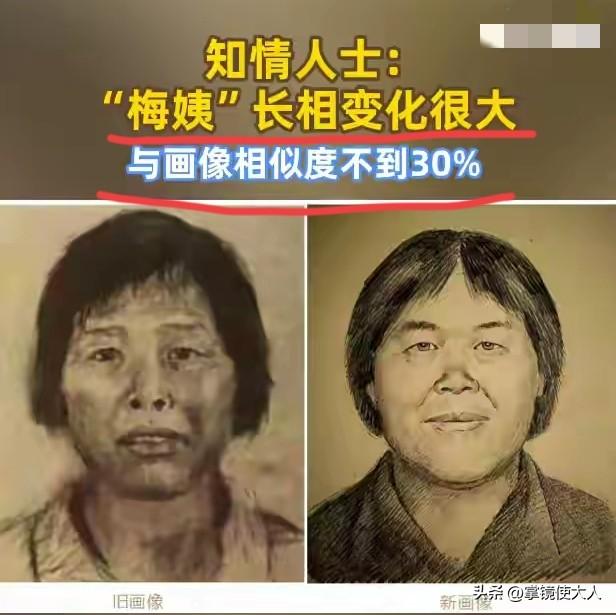 “梅姨”有多谨慎：

1.与男友同居两三年，不让看她身份证，

2.从不拍照，不