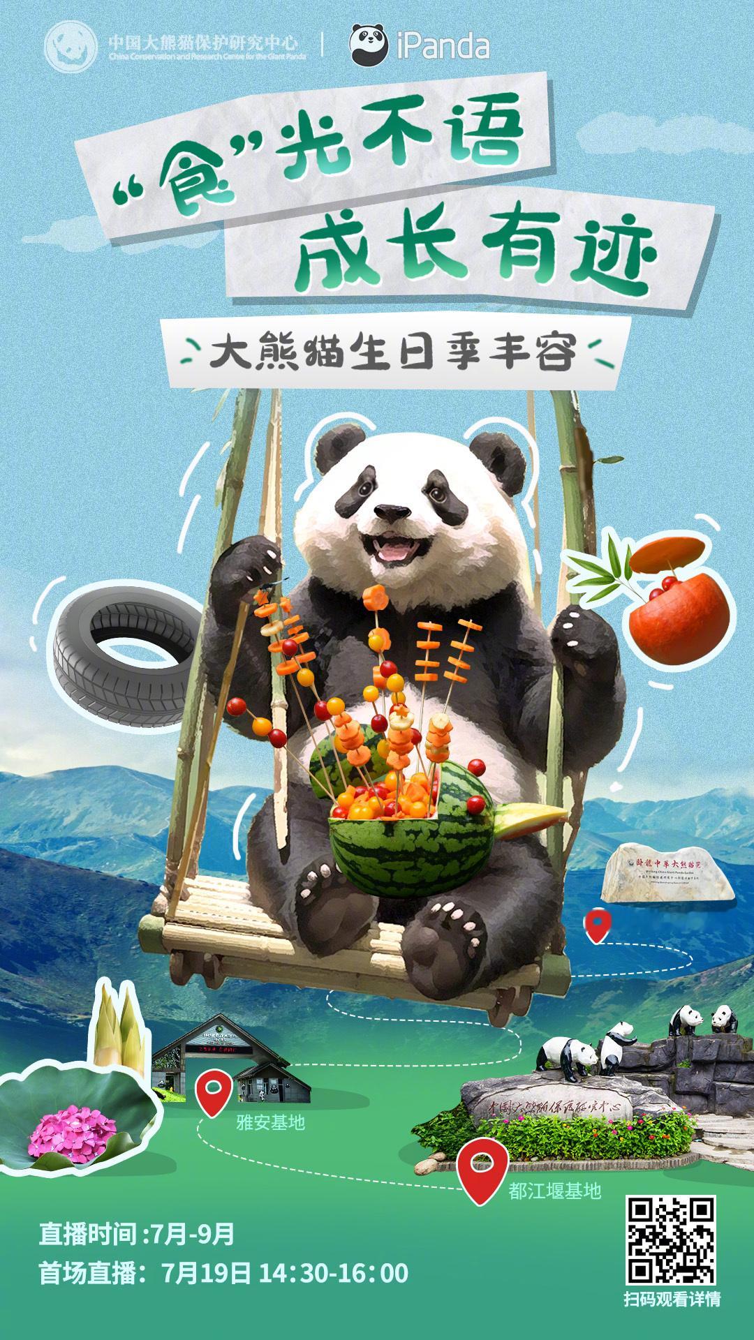【直播预告：#大熊猫生日季丰容# 第一站——卧龙神树坪基地】大熊猫夏季丰容上线！