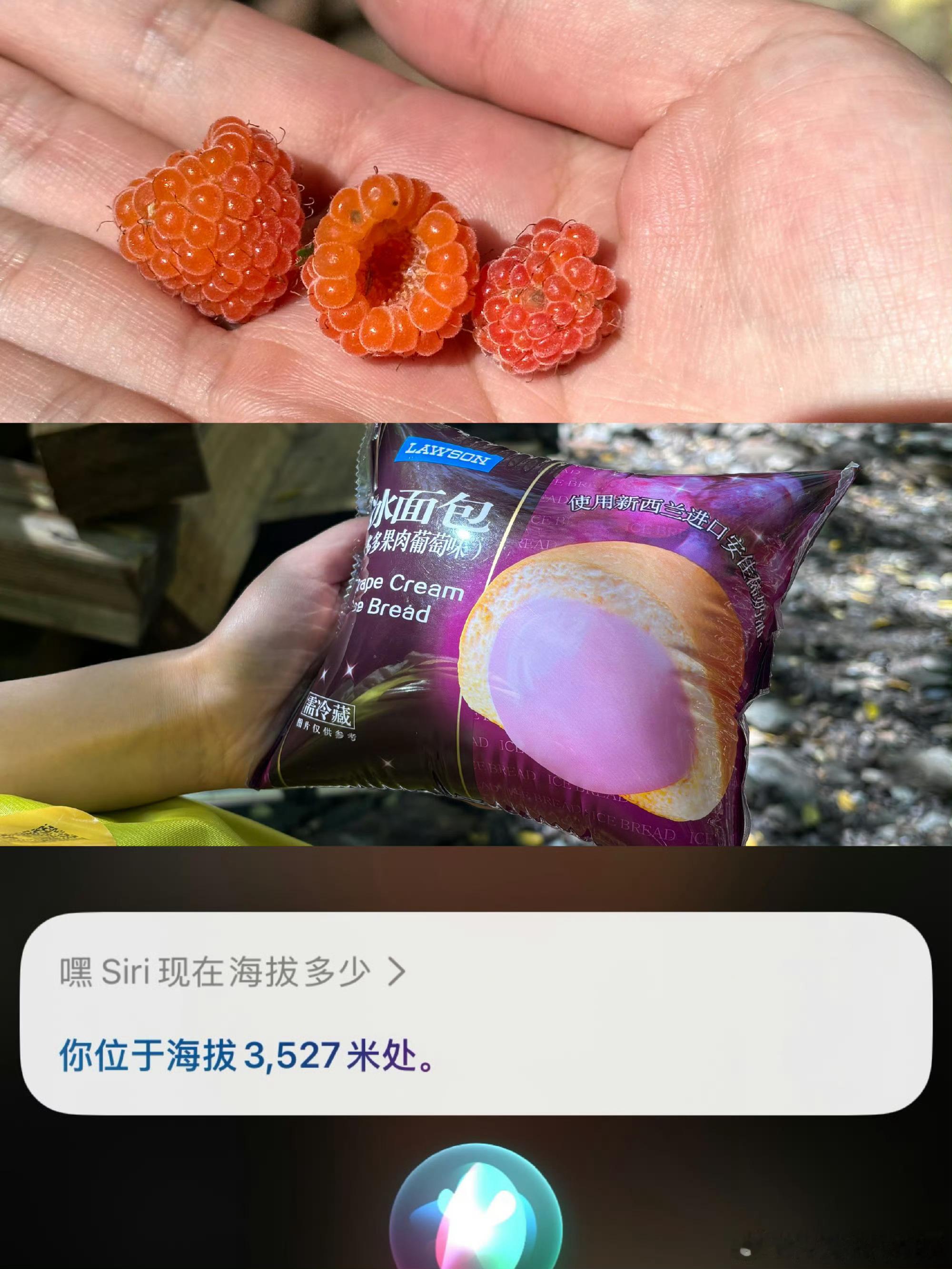 和大自然的连接可以发生在任何时间喜欢徒步是因为我可以在自然里待足够久也因此有足够