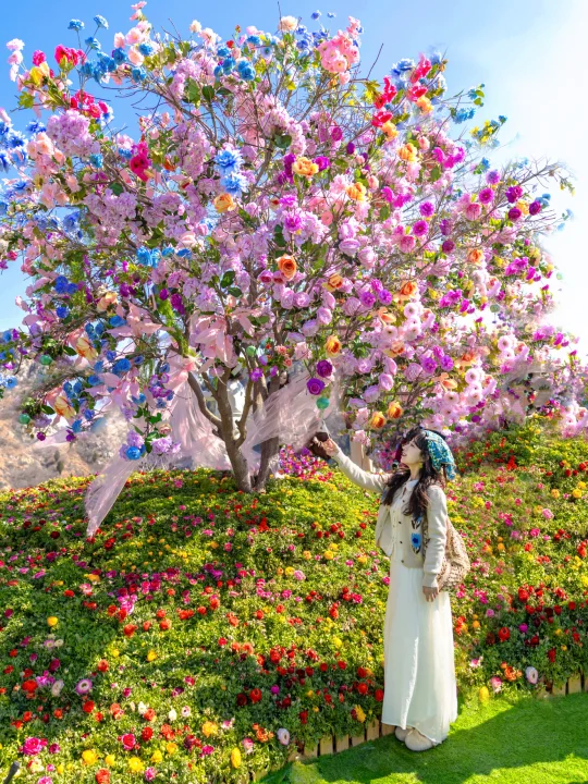 我在山东上春山⛰️发现淄博秘密花园