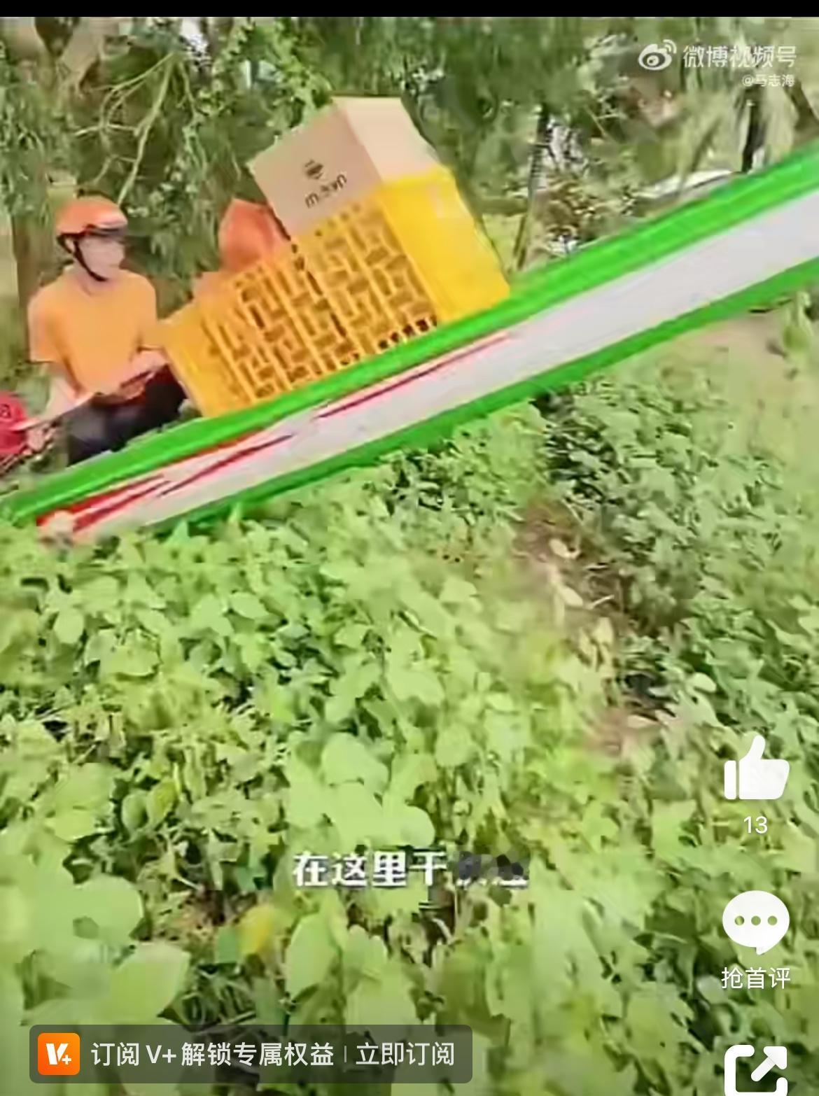 越南硬核快递，骑快艇在水网密布的地方送快递，可以不会骑电瓶车，但是必须会开快艇。