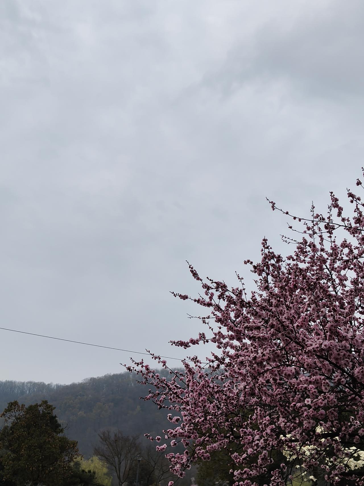 年轻人反感的不是经验，而是不平等的姿态。他们追求平视沟通、尊重边界、共情理解，而