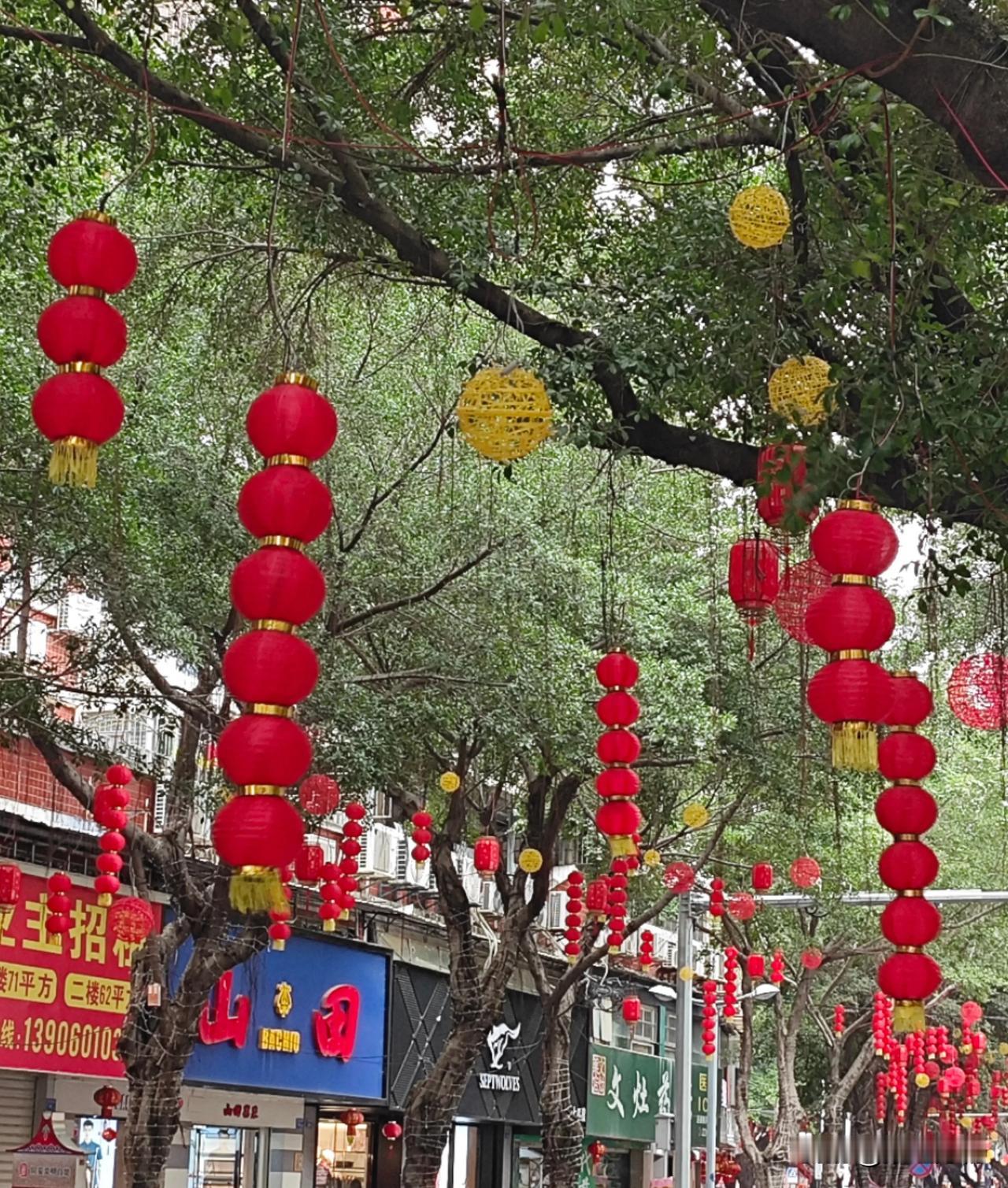 《赞厦门》
厦门街头好喜庆，
条条都是满街红；
代表生机和活力，
城市品位大提升