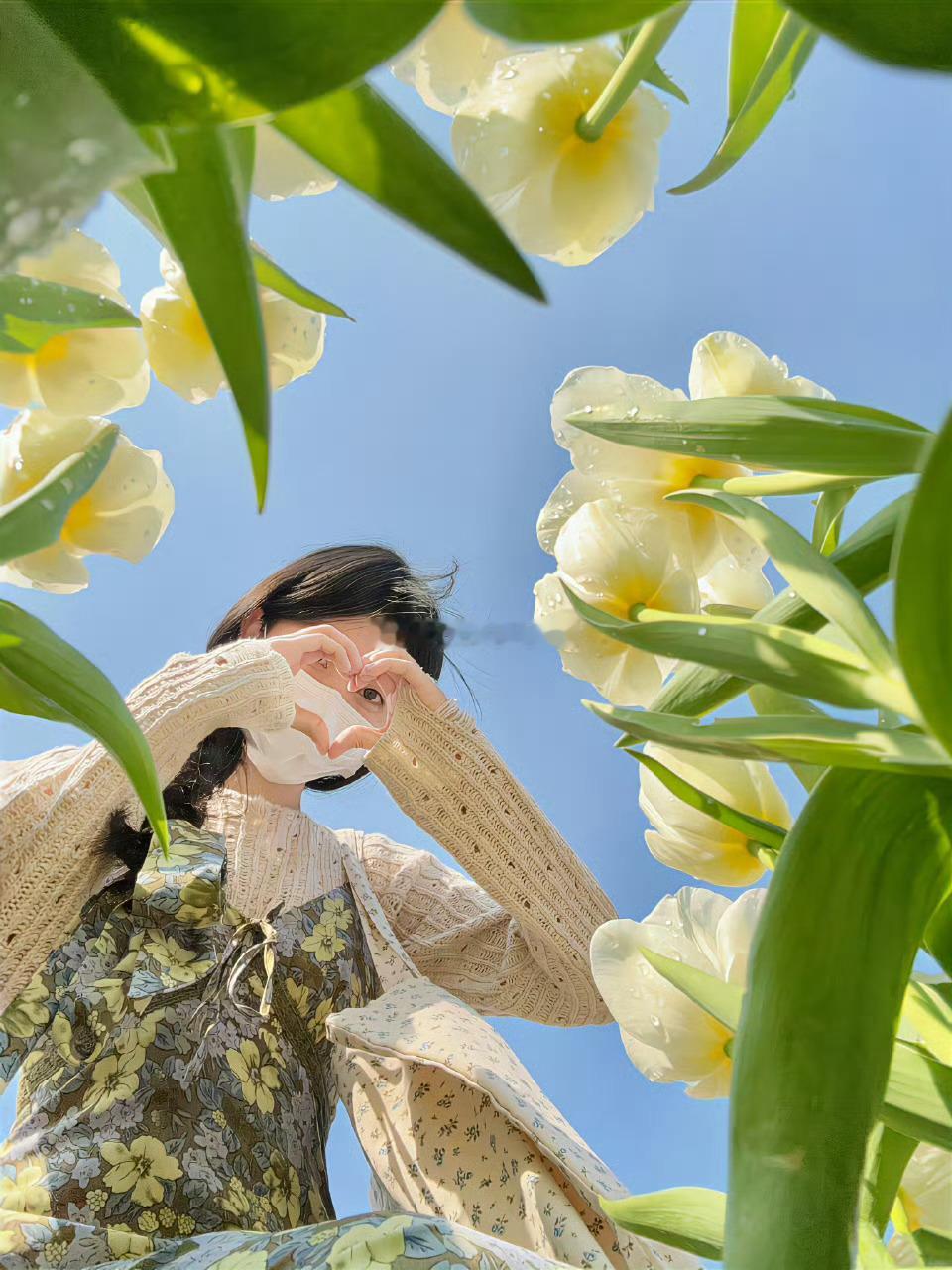 朋友圈文案 高质文案 一定有你喜欢的[求关注]✰. ℝ𝕠𝕤𝕖 𝕕𝕚𝕤