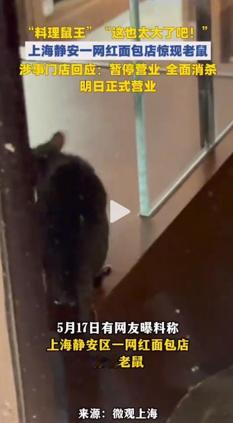 滤镜碎了一地！上海这家天天排队的网红面包店，老鼠在面包旁爬上爬下，店家的第一句话