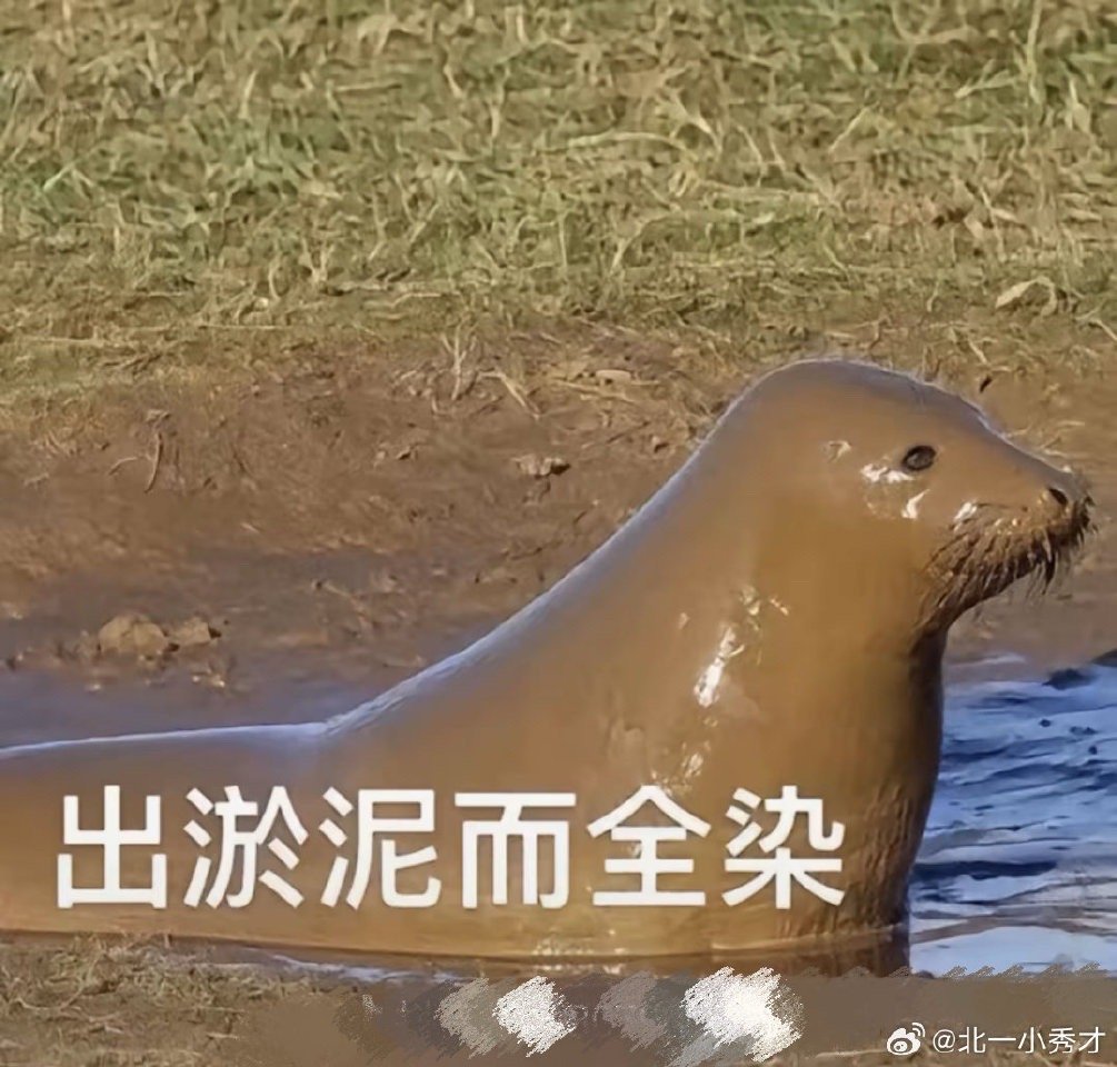 愚人节一键切换新身份被愚人节新身份整笑了 被愚人节新身份整笑了，90后网文沙雕爱