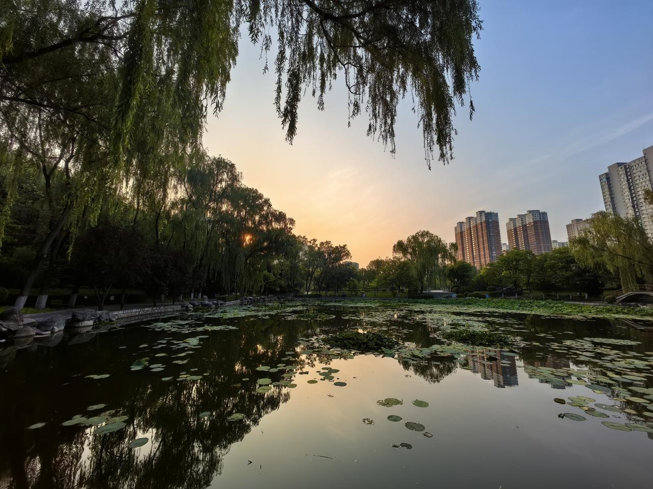 千万不要在任何地方怯场，大大方方去丢脸，兴致勃勃去失败，坦坦荡荡去重来。人生就是