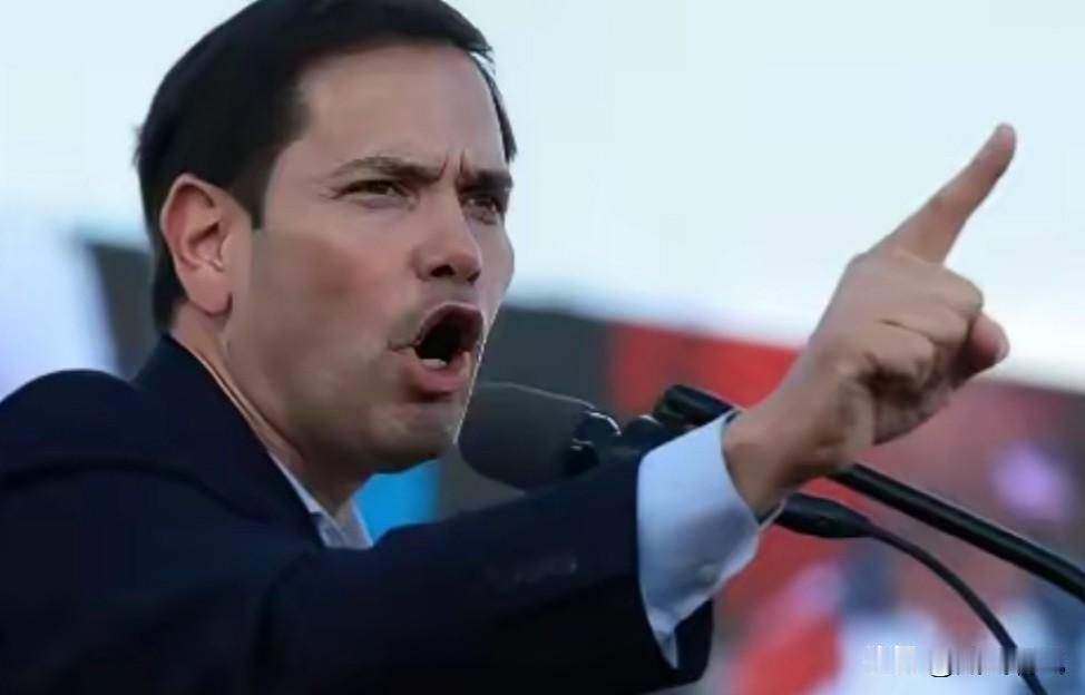 英国和欧盟包括卢比奥真把自己当根葱了，大言不惭要求撤销香港国安法，还喊着要立即无