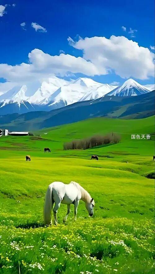 混得好的人，都有5个共性：1、不跟同事走太近；2、不随意教人做事；3、不背后说人