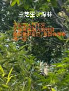 成年人的认知、人生的成长，从来不是演给旁人看的热闹，不必渴求所有目光都落在自己身