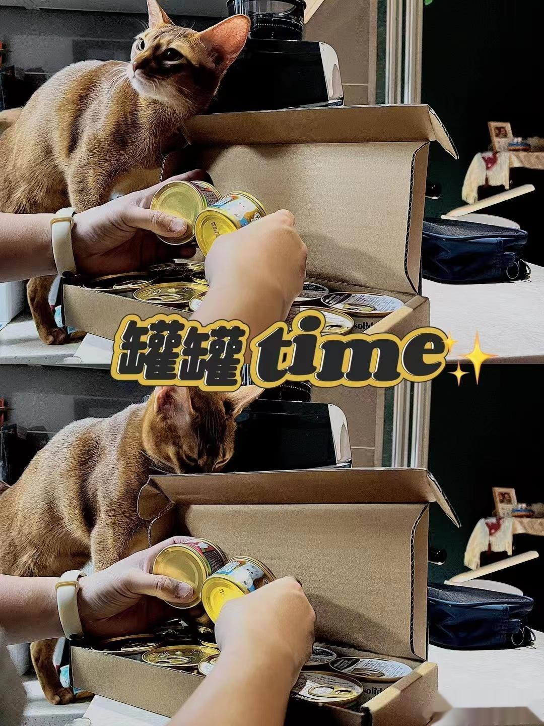 #今天# #随手拍# 🐈开箱时间到~ ​​​