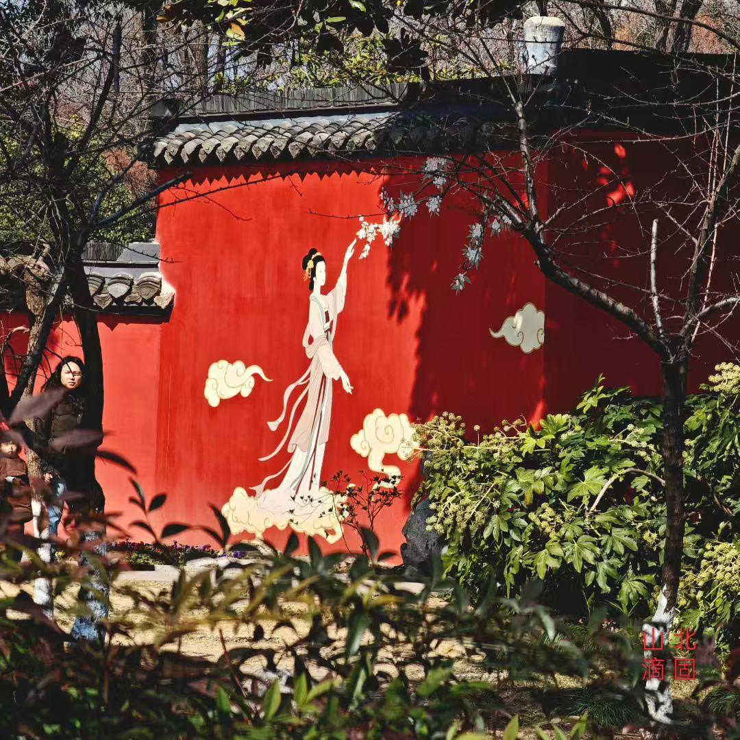 集卡领红包朱墙映画，佳人拈花，一墙春色，半入人间，半入画。