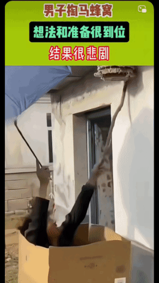 结局惨不忍睹！
先前准备非常充分，
结果
一个慌不择路的逃跑，
一个猝不及防与蜂