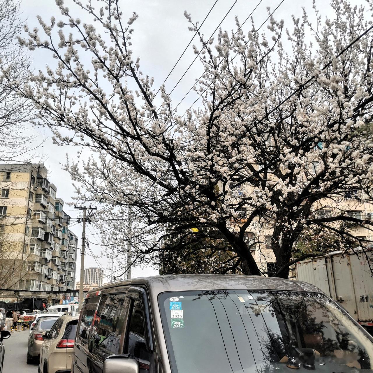 每经过一次，总有把它拍下来，看一次少一次，再不拍就没了……

照片拍摄：刘家桥市