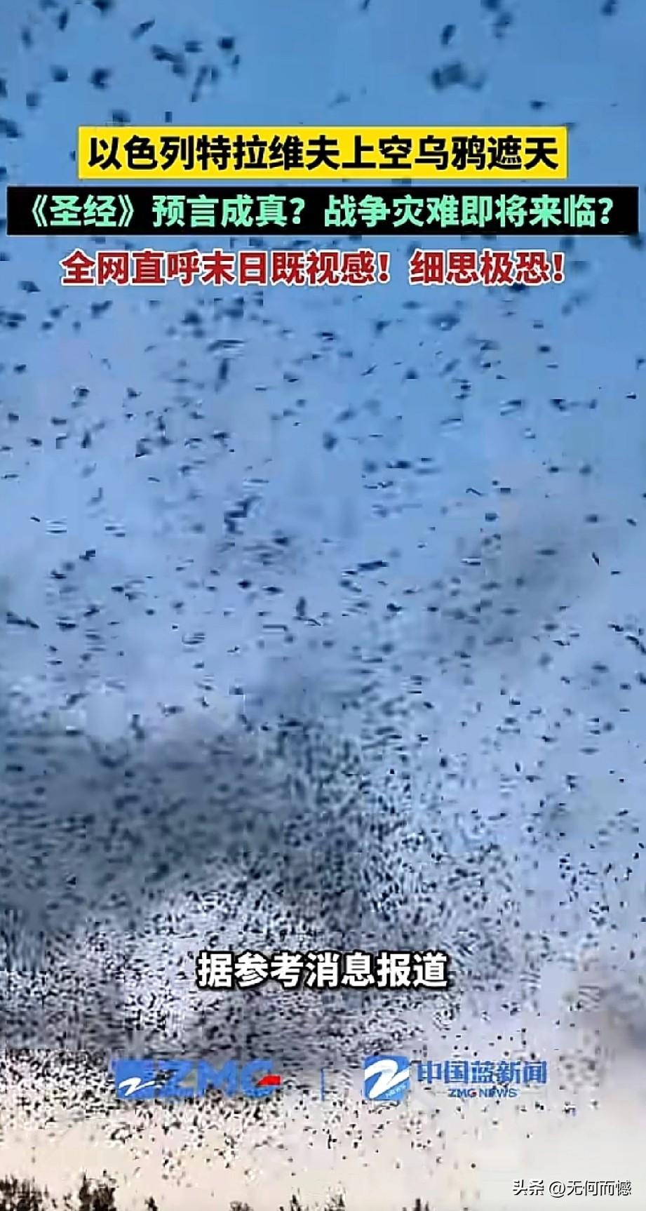 3月24日，以色列特拉维夫上空，成千上万只乌鸦盘旋汇聚，黑压压的鸟群遮天蔽日，在