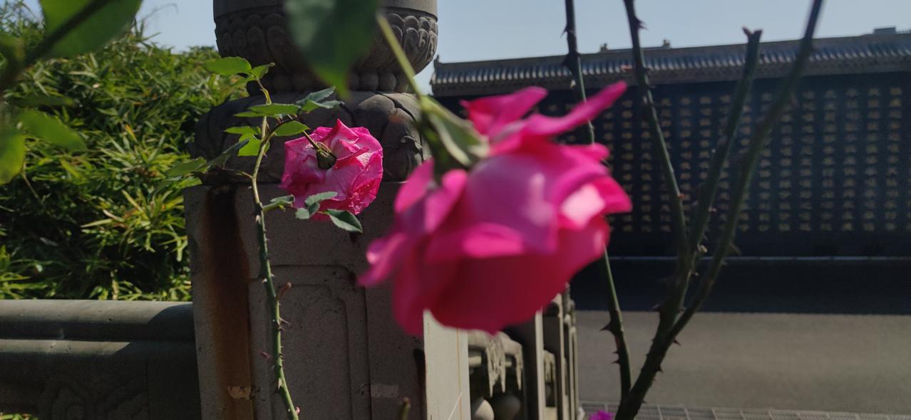 2025年全年，携程集团净营业收入为624亿元，同比上升17%。净利润为334亿