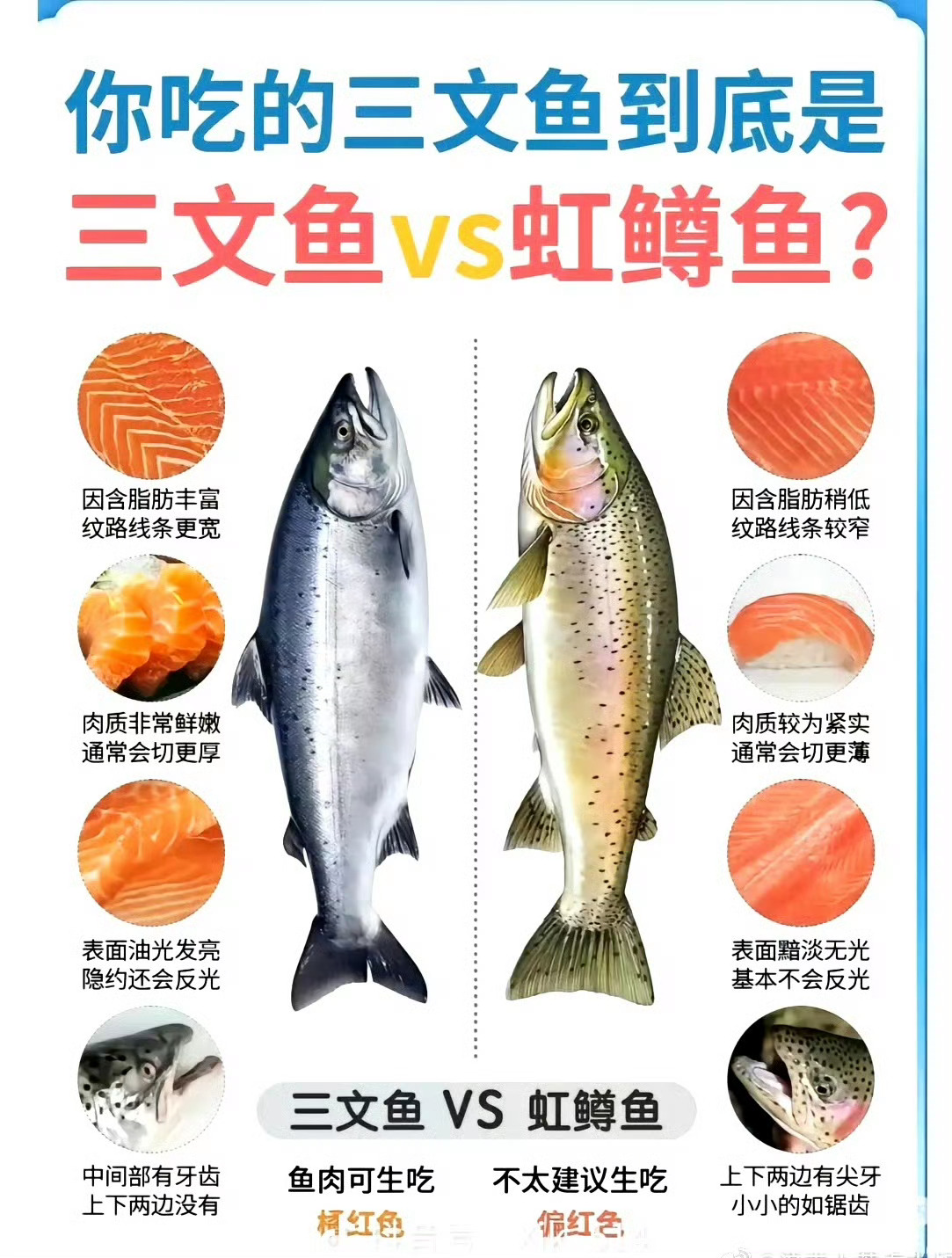买三文鱼套餐吃到虹鳟食客起诉餐厅餐馆里是不是经常遇到虹鳟鱼当三文鱼卖？看看区别！