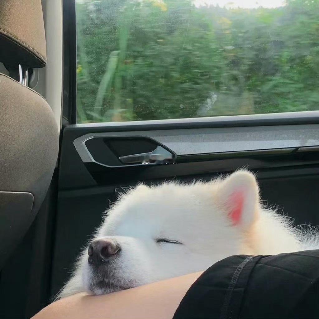 今晚睡醒后，你期待的明天都会实现！ 