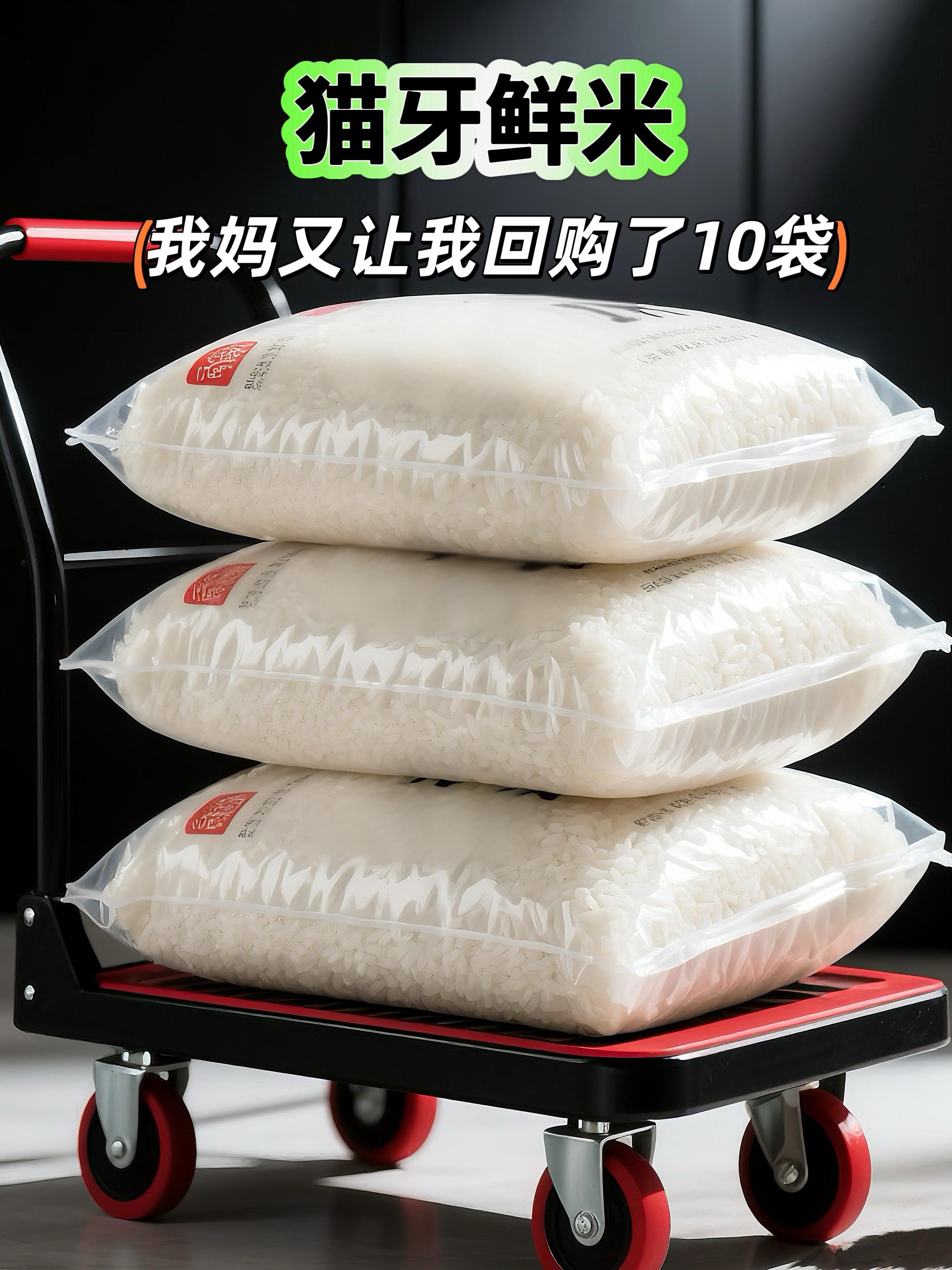 家人们，吃饭没？这个价入手五斤精选猫牙米，今天必须给你们分享这款猫牙长...