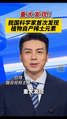 国运来了挡都挡不住！平时随处可见的乌毛蕨，被我国科研人员一研究，直接炸出世界级大