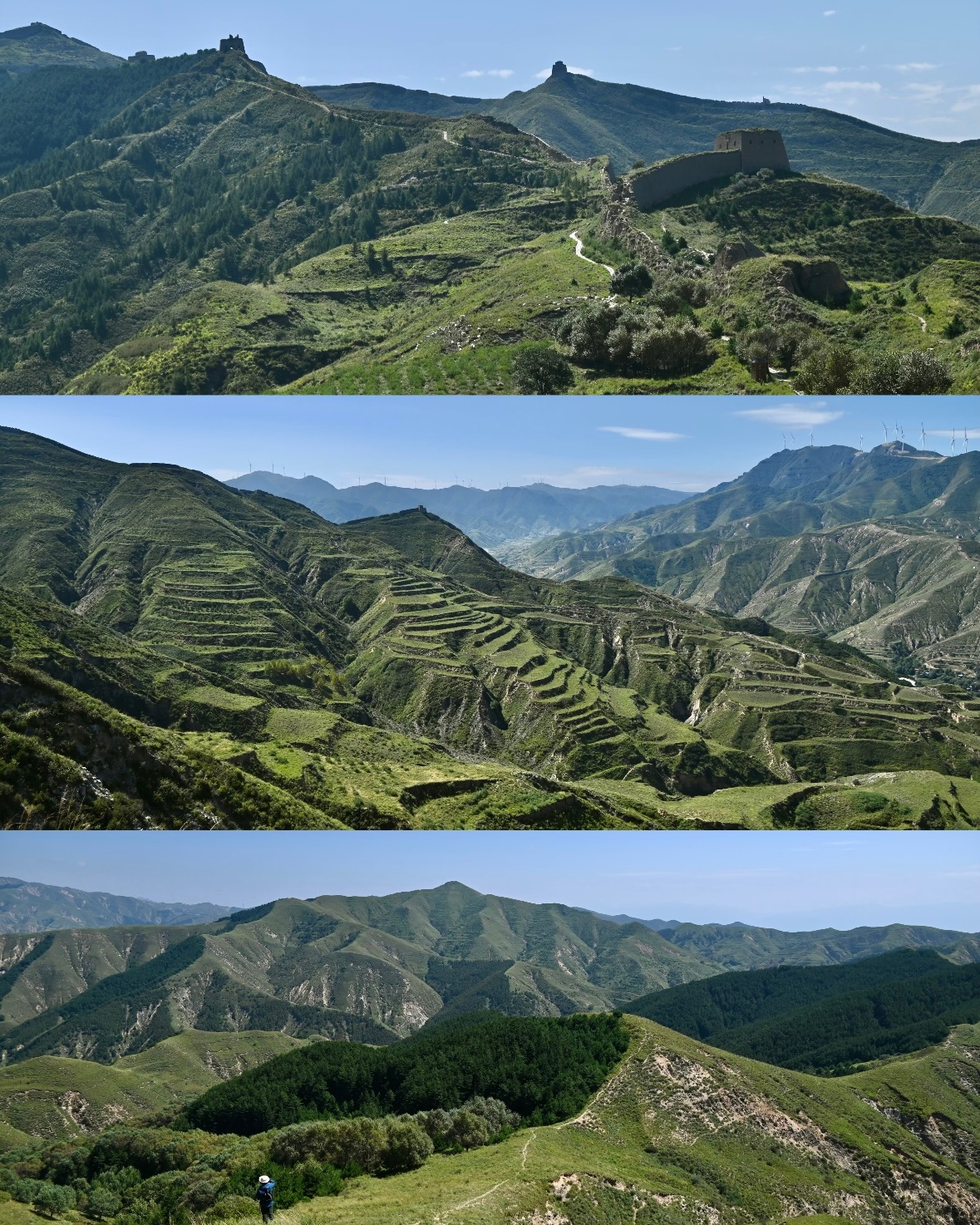 黄土高原变绿了黄土高原经多年综合治理，水土流失面积消减超半，主色调由“黄”转“绿