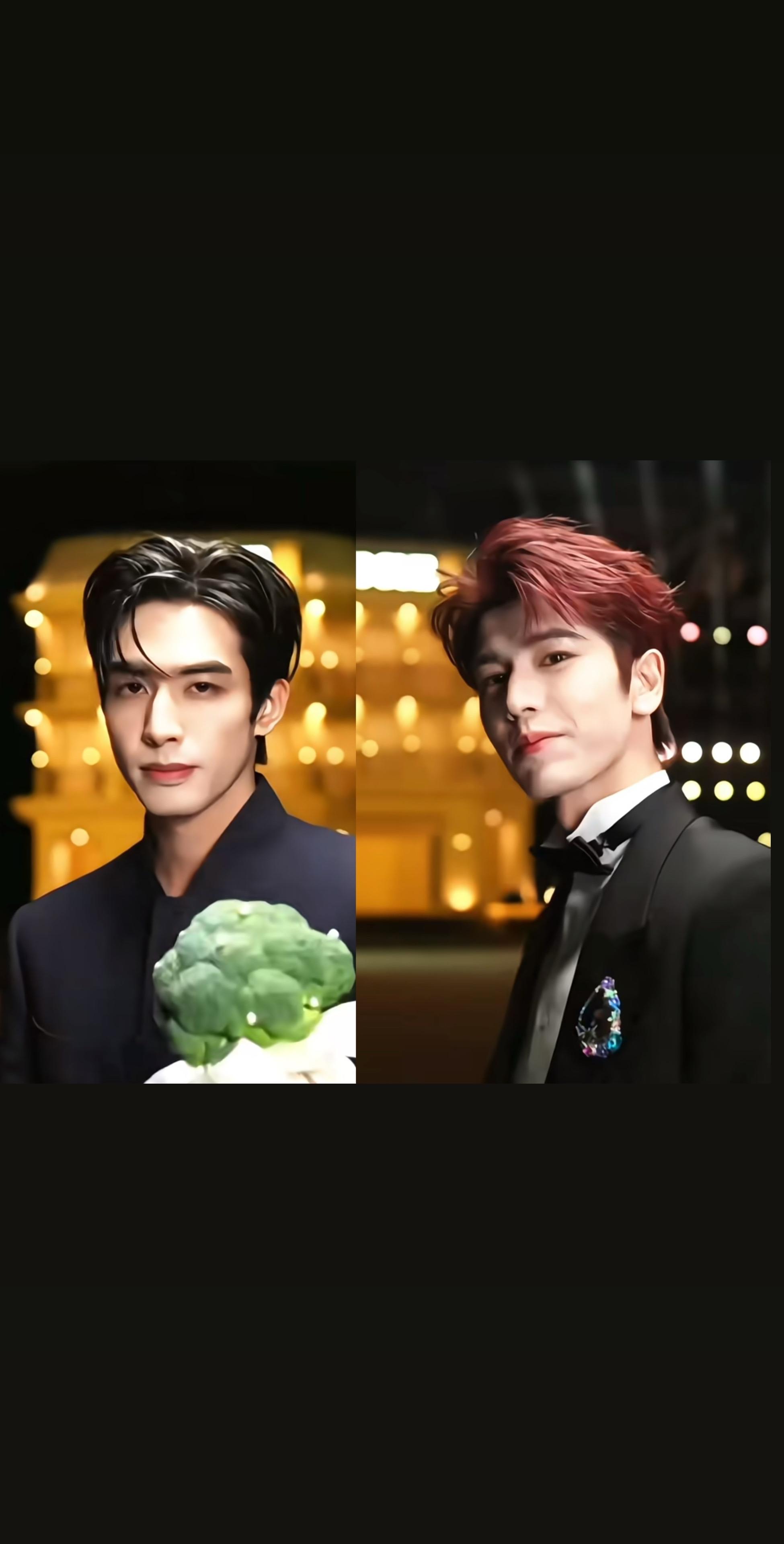 二选一 选一个吧 你是谁的兵。