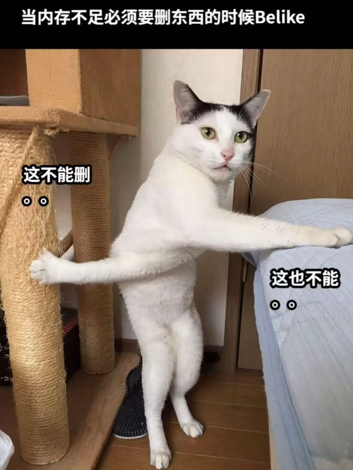 删了几千张照片结果内存没变应该是没有彻底删除，打开“照片”App → 点击“相簿