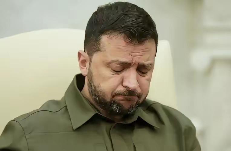 乌克兰已无退路？
泽连斯基正式签署了！
​​当地时间1月26日，乌克兰总统泽连斯