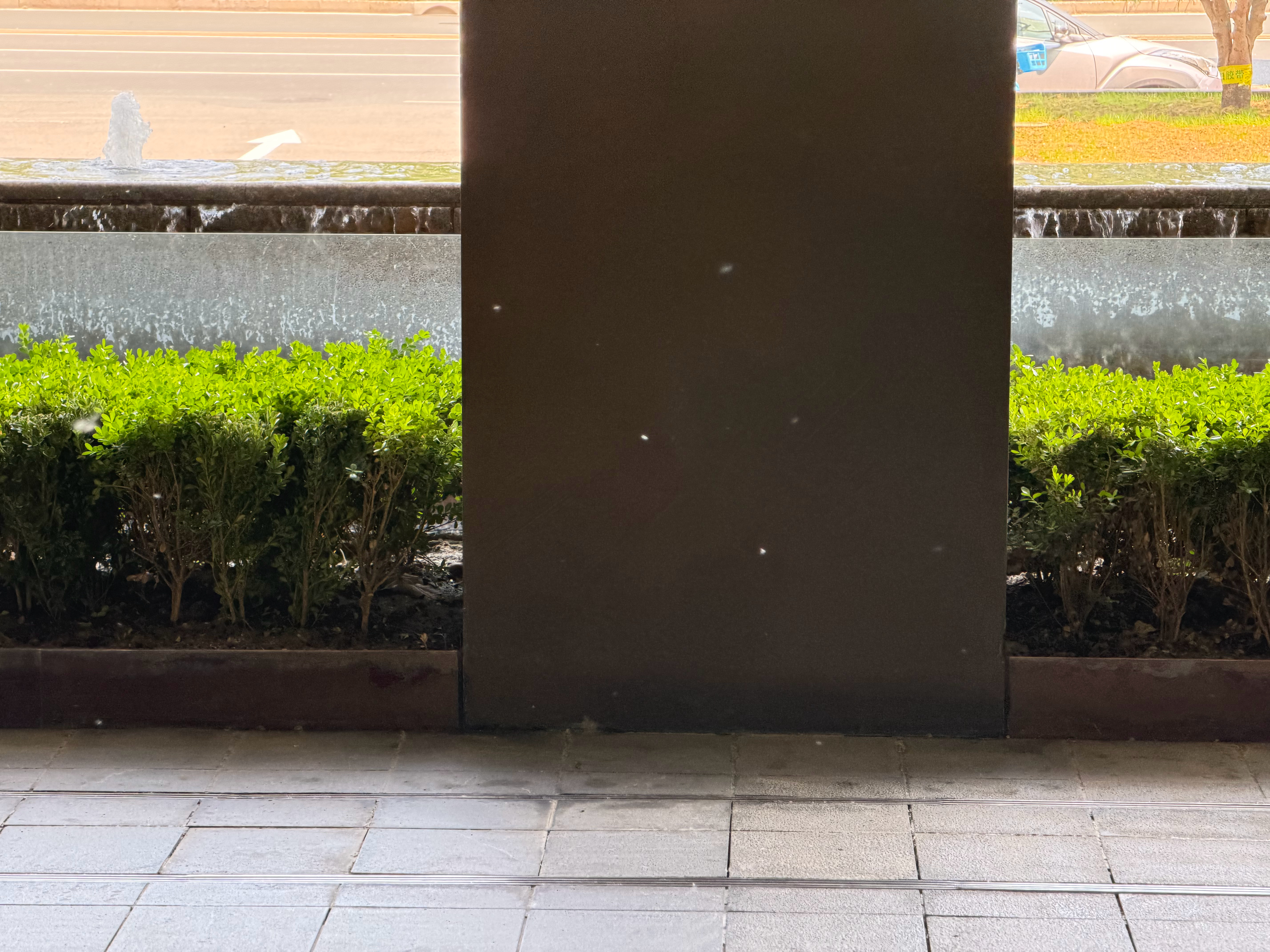 京城这个柳絮…怎么这么多？前几年我记得治理很有成效啊赶紧把口罩给戴起来我的日常p