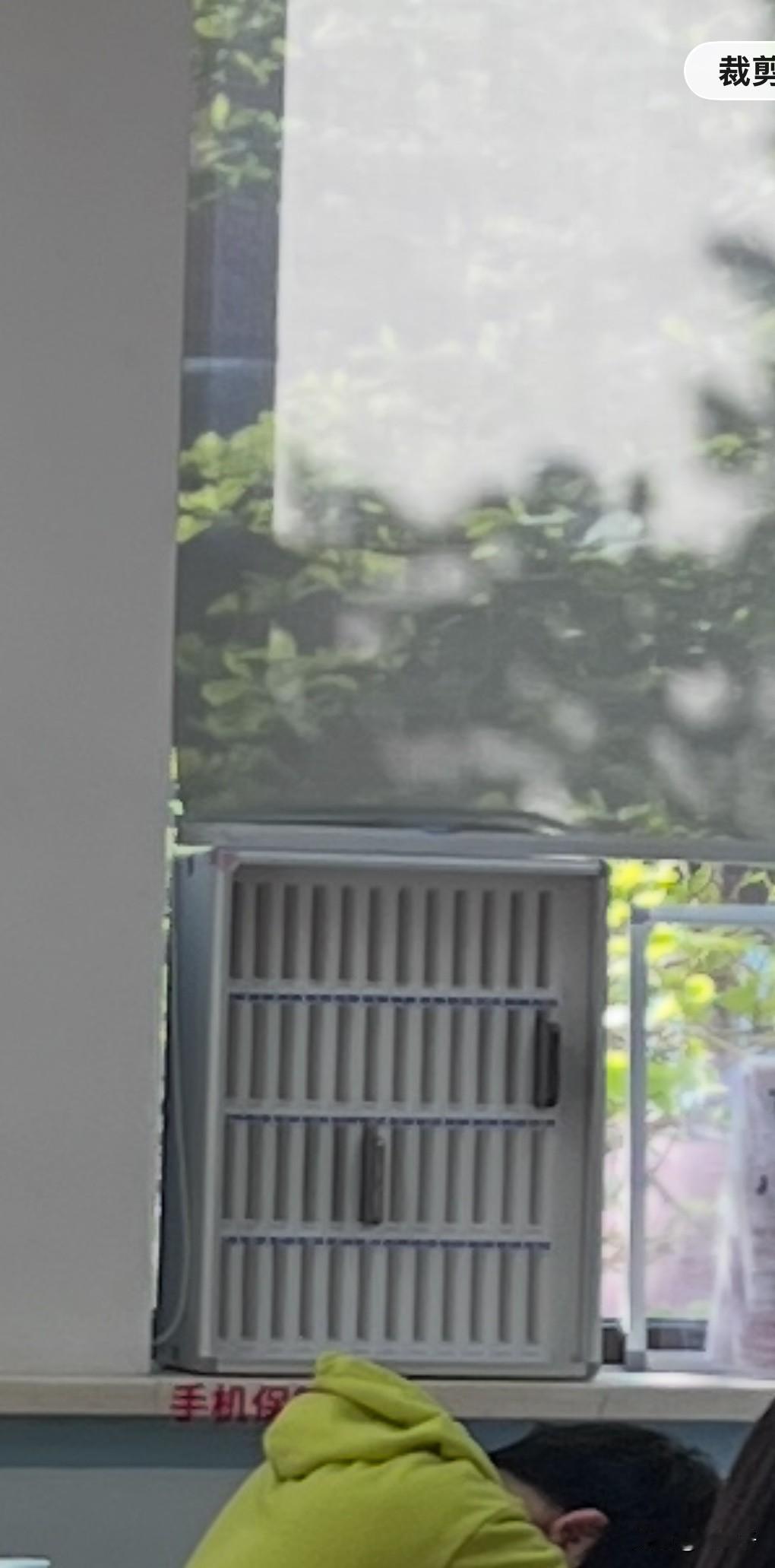 家庭教育的结果可能会滞后，但不会不来，无论好与坏。