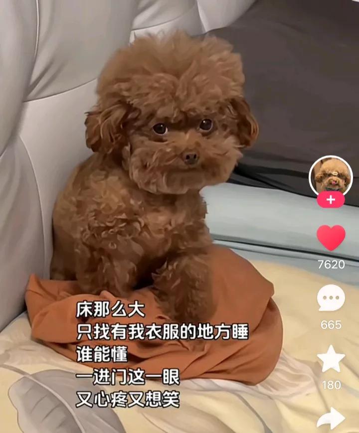 三分急，七分饿。这个意思是说，饥饿也是引发焦急急切急躁的情绪，所以，在饿肚子的时