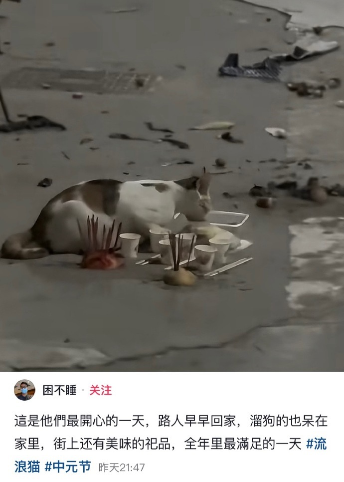 中元节的意义一下就打开了[捂嘴哭]小猫不知道什么是中元节，只知道今天不用翻垃圾桶