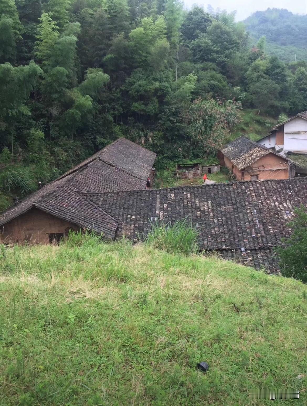 小时候总觉得
老家的土瓦房又旧又破
一心只想往外跑、去大城市

长大后走遍高楼大