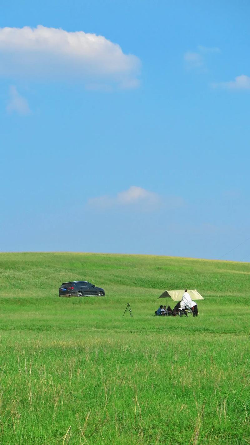 下联：草地绿如茵。

（图片来自网络）