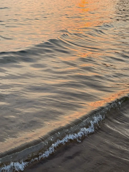 每天五点半起床冥想🧘生活发生了巨大改变