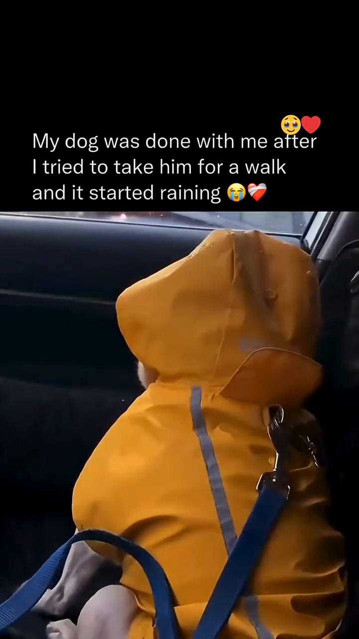 My dog was done with me after I tried to