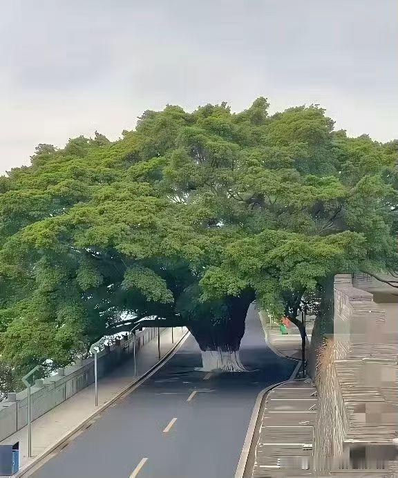 为友征婚：
女，1970年出生，属狗，私企退休行政人员，为人真诚善良，正义正直，