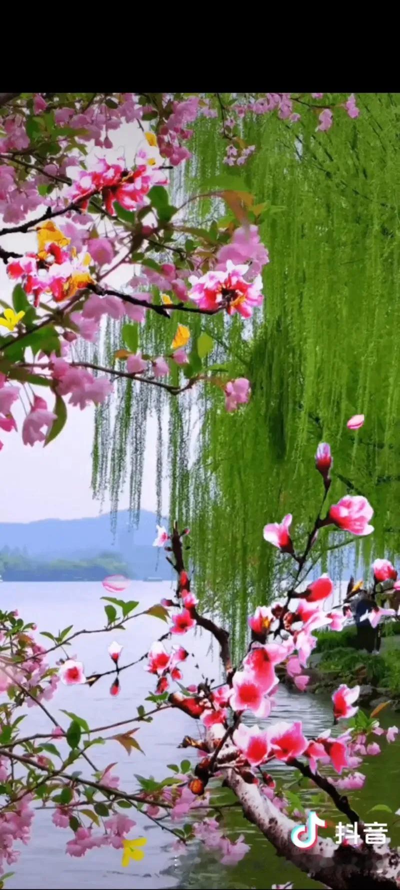 上联：柳叶凭诗酬细雨
解析：“柳叶”对“桃花”，皆为春日典型植物。“凭诗”与“借
