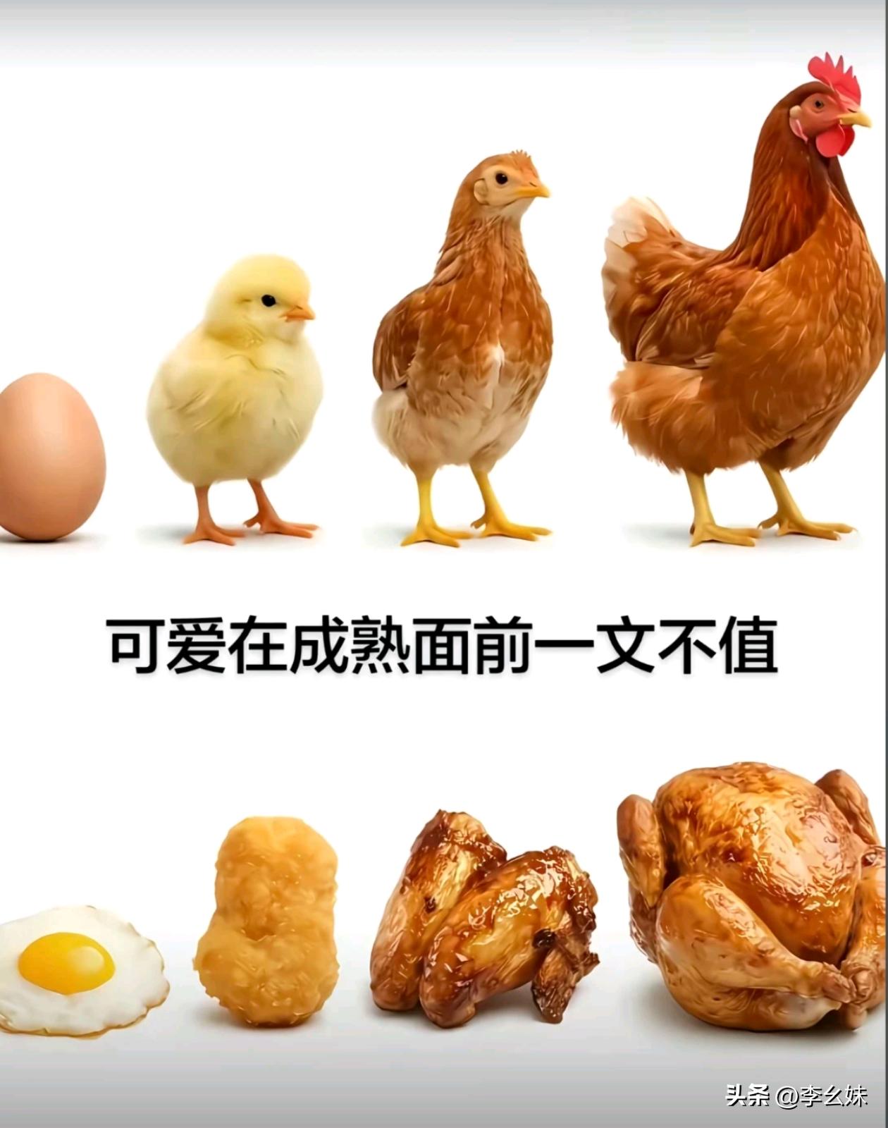 现在才明白为啥有人喜欢成熟的[笑哭]