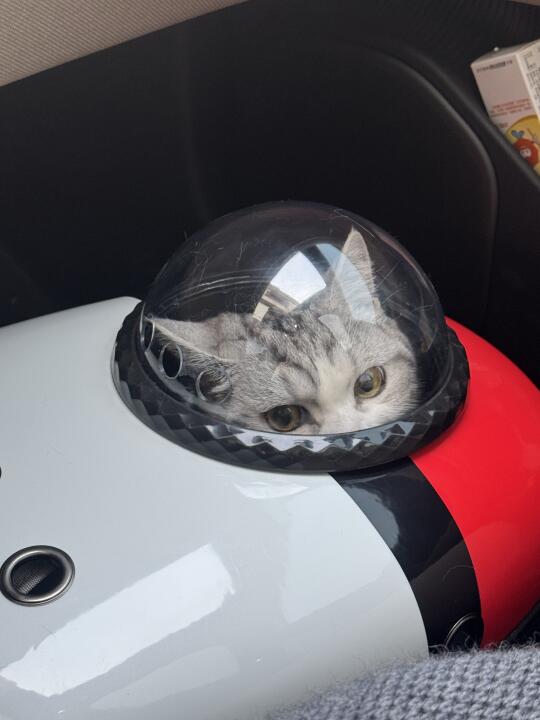 我都说了不想出去玩儿