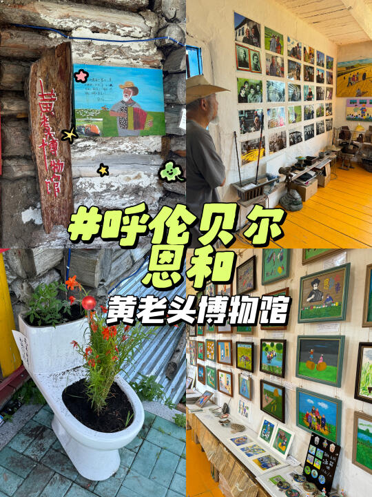 🌟能用马桶种鲜花的人，得多么热爱生活啊❗