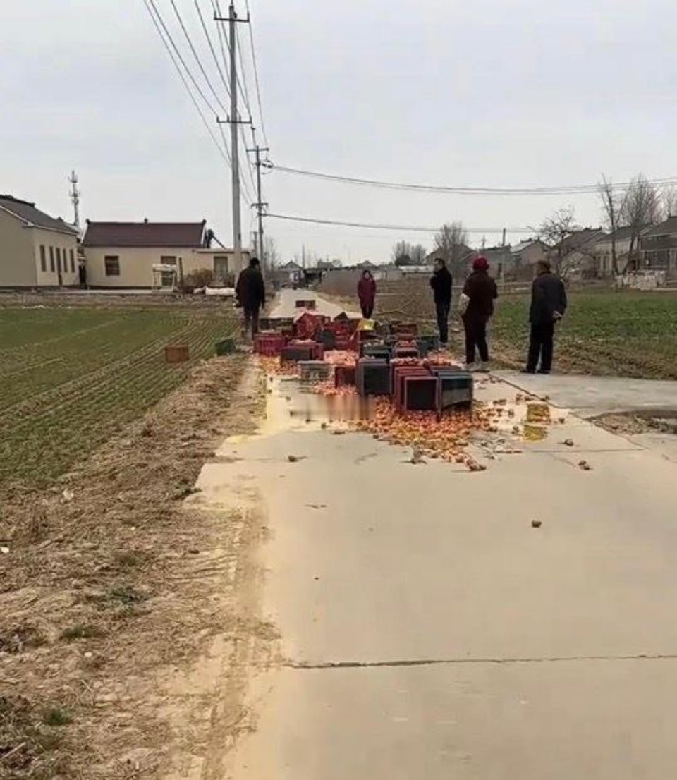 人能闯多大祸，这可咋整? 