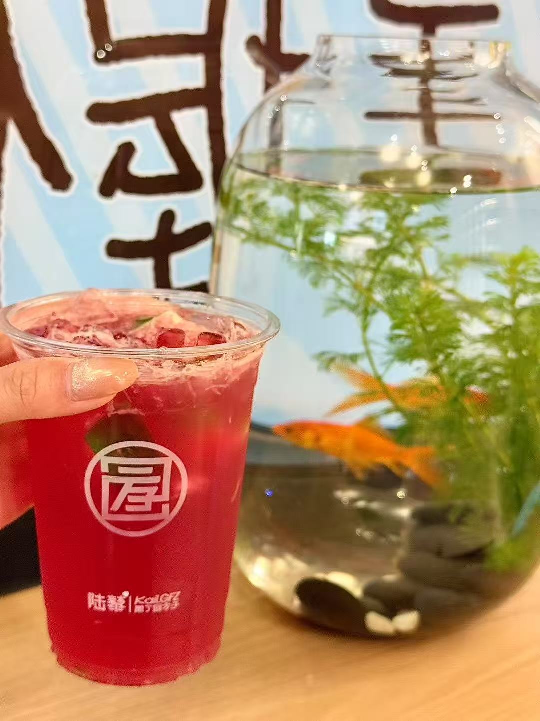 💯 【健康财富，真·一手握住！】 这波跨界玩得太6了！陆藜家的“超级方子”柠檬
