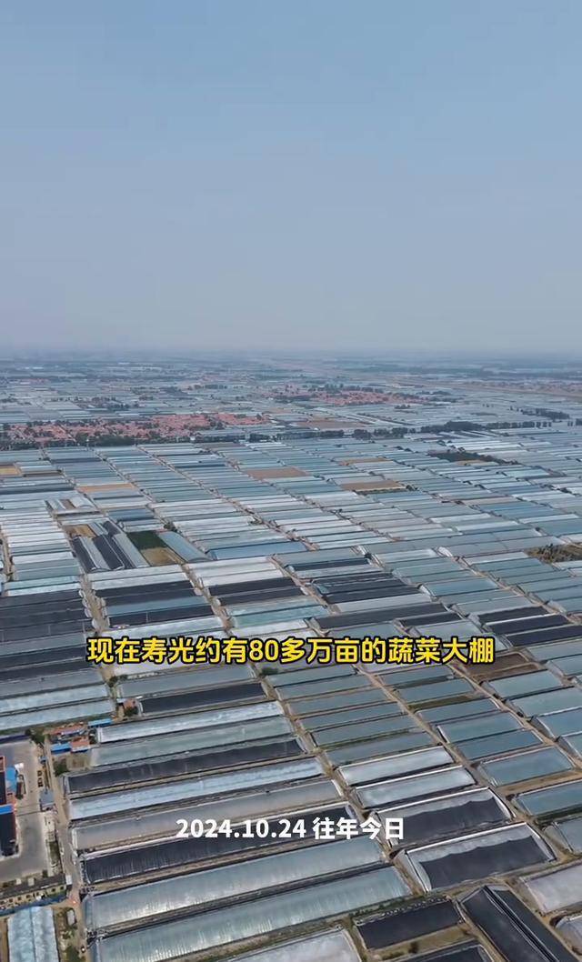 十日终焉带火了山东大棚谢谢哈，我们山东的大棚年龄比主演年龄都大，寿光蔬菜出口全世