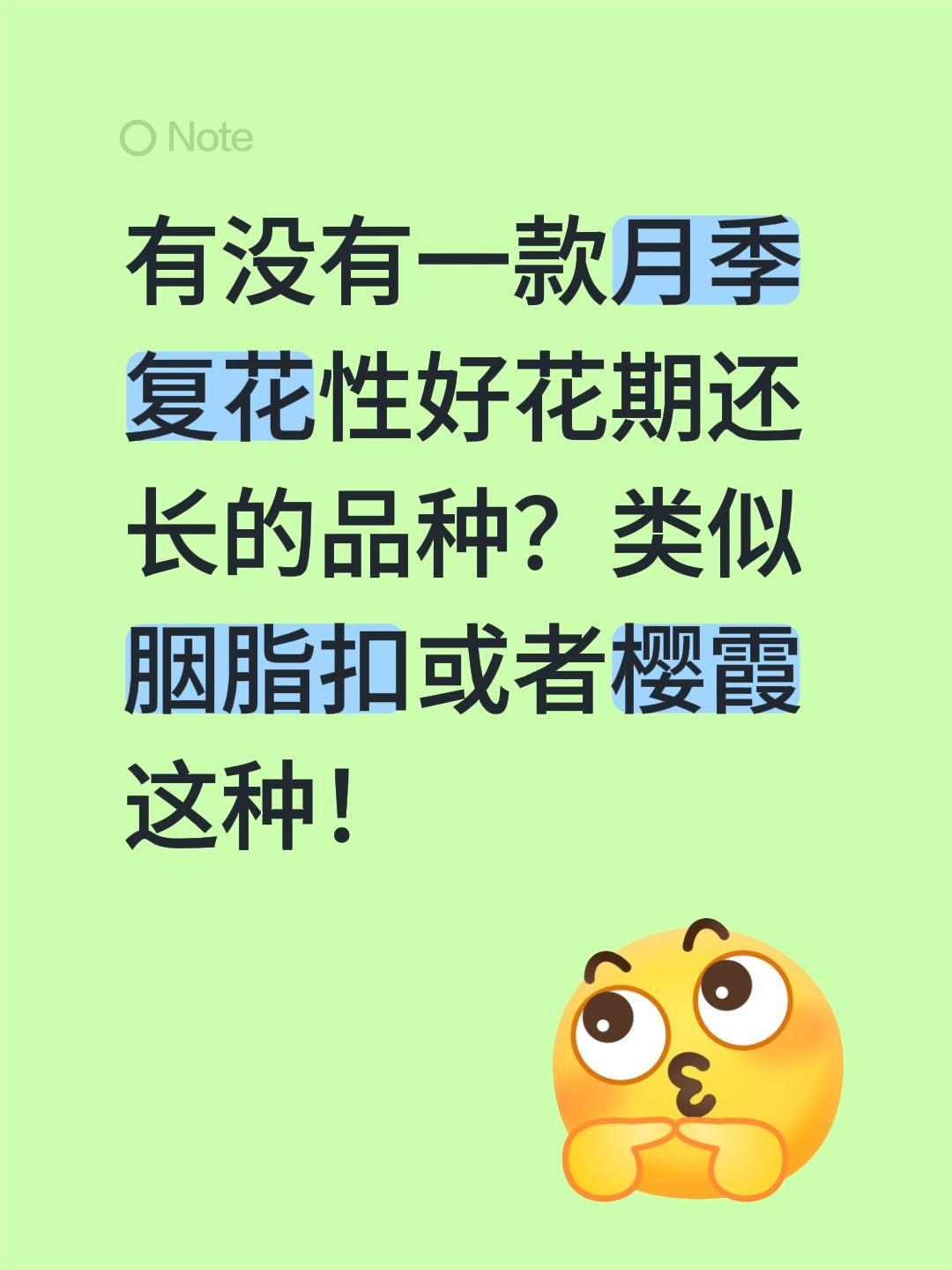有没有一款月季复花性好花期还长的品种？类似胭脂扣或者樱霞这种！真实生活分享计划 