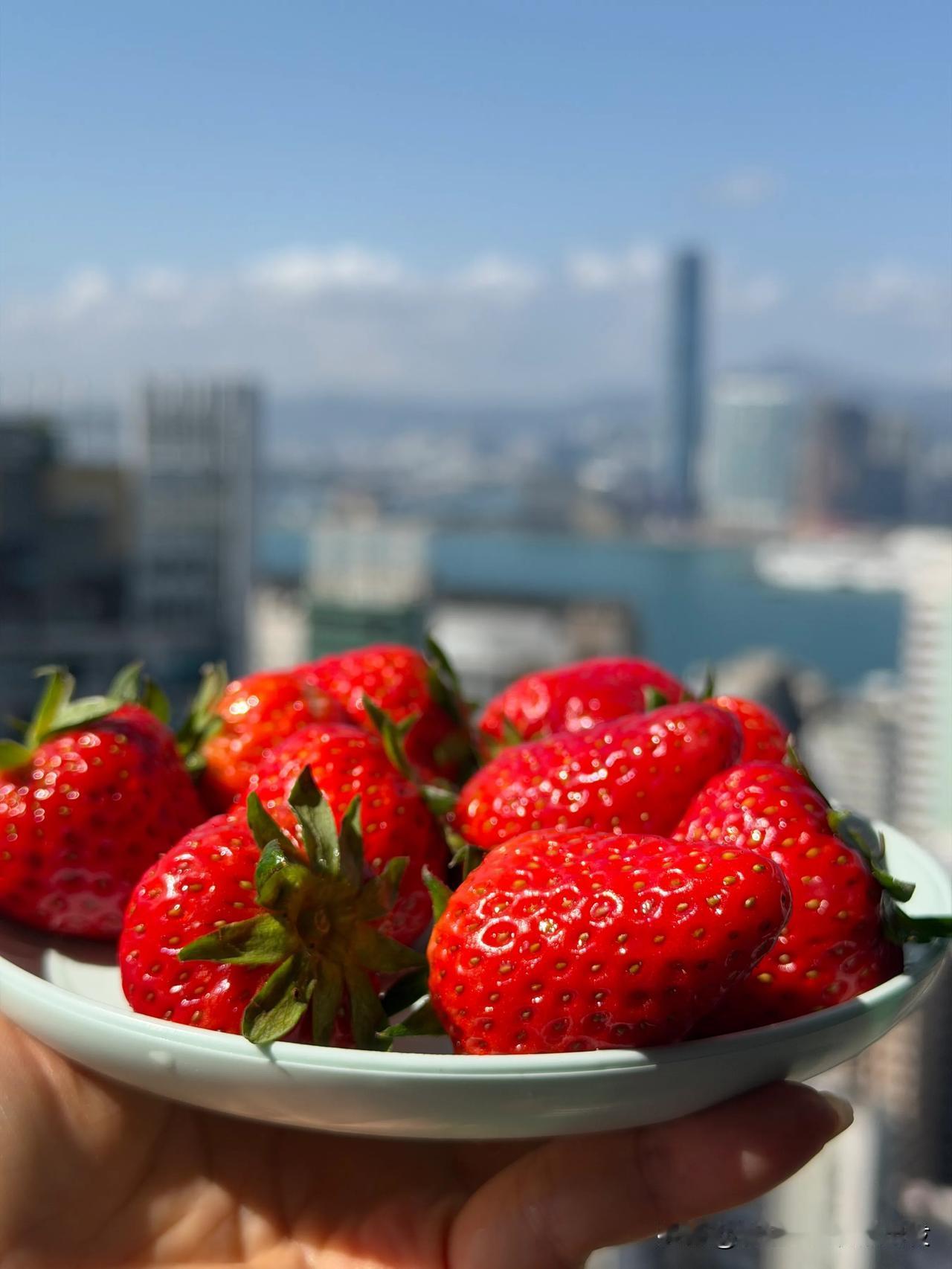 23度的午后
阳光
草莓
晒太阳补充能量
脑海掠过那次在西藏严重高反，看着多数没